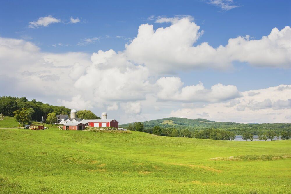 6. Maine